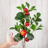 Factory Direct Craft Artificial Red Apple Stem for Summer Arrangements