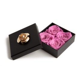 Rosemarie Schulz Heidelberg Infinity Rose, lasts for 3 Years, in a Box