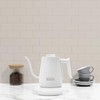 Haden 0.6-Liter Stainless Steel Electric Kettle, Gooseneck Hot Water Kettle