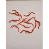 Squirmy Wormy, 12 Fly Fishing Lures with a Tungsten Bead,