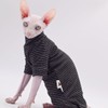 Ropa de gato sin pelo de terciopelo de cuatro patas,