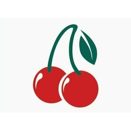 AOSI 6 pc Cherry/Cereza La Chica Cerezita Car/Home Air Freshener Deodorant home auto