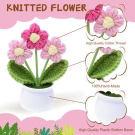 YiQiYi Crochet Small Patted Flowers Artifical Flower Knitted Flower Decor for Car Dashboard Handmade Home Office Decoration (Puff Flower Pink)