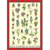Tea Towel Scottish Wild Flowers