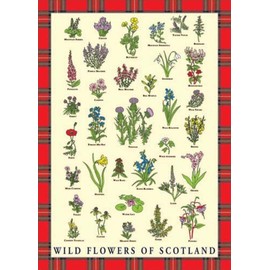 Tea Towel Scottish Wild Flowers