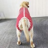 Kukaster Pet Dog Bodysuit After Surgery Castration Male Wound Protection