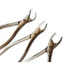 Heavy Duty Dental Extracting Forceps # 150# 151# 23, Apical