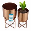 BIRDROCK HOME 2pc Modern Planter with Stand - Elevated Plant