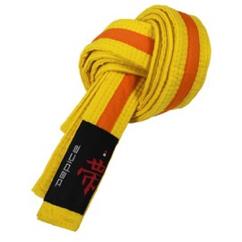 DEPICE Karate/Judo Belt, Unisex, Belt, Gürtel Karategürtel Judogürtel, yellow/Orange