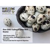 Wholesome Harvest Non-GMO Turkey & Game Bird Starter Feed –