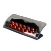 For 1996-2002 Pontiac Firebird Trans Am WS6 Smoke High Rise