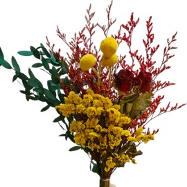 L'BREVOGA Dried Flower Bouquet - Caspia,Rose, Billy Ball, Gypsophila - 15 Inches, Unique Design (Red)