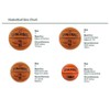 Molten Balon Basquetbol