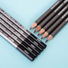 Delhi Deli Scribe Infinite Pencil Eraser Black Pencil 2B 12