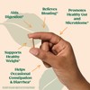 Bellway Bellway Super Fiber Powder + Greens Super Fiber Capsules