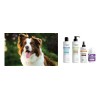 Psh Repair Kerargan Conditioner