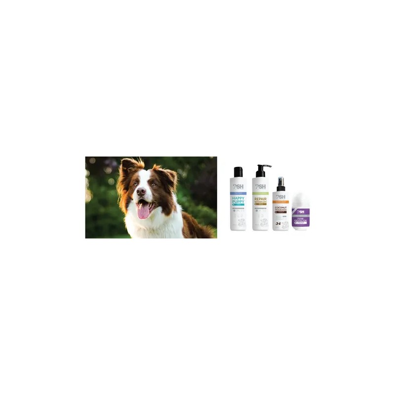 Psh Repair Kerargan Conditioner