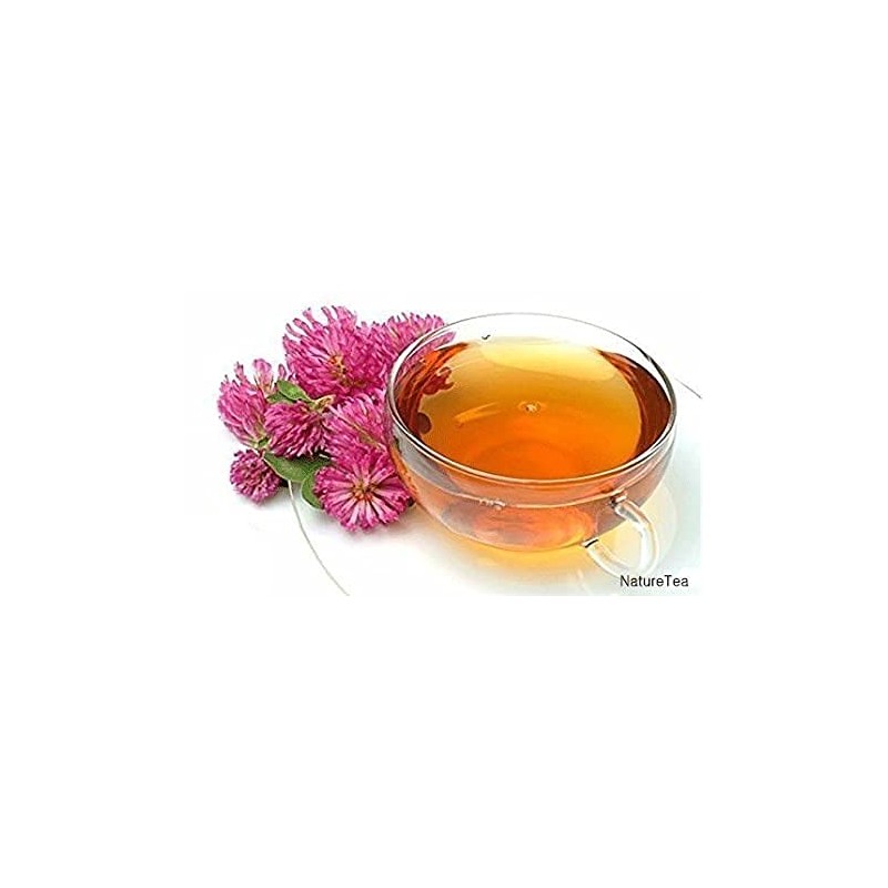 Red Clover Herb - Dried Trifolium pratense Leaf & Flower