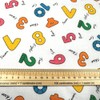 Polycotton Fabric Rainbow Numbers Words Learning Nursery School Kids (Price