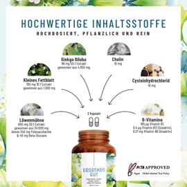 NATURTREU® Gedankengut Lion Mane Mushroom & Ginkgo Biloba Complex - with Brahmi Extract Choline & L-Cysteine - 120 Capsules Vegan with 30% Polysaccharides and 5% Beta-Glucans