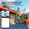 Smart Bird Feeder with Camera Solar Powered, 4K HD Video