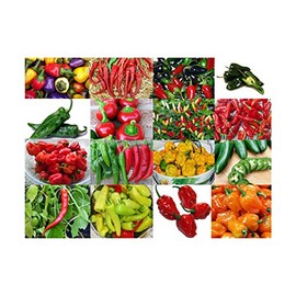 Please Read This is A Mix 30 Hot Pepper Mix Seeds 16 Varieties Heirloom Non-GMO Habanero, Tabasco, Jalapeno, Yellow and Red Scotch Bonnet, Jalapeno Habanero US Grown Capsicum annuum