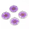 4PCS Silver Tone Real Dry Daisy Flower Resin Round 30mm
