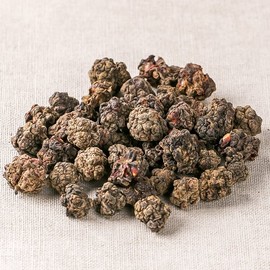 국산 꾸지뽕열매 100g 구지뽕 구찌뽕 꾸찌뽕 차 말린 건조 건 약초 국내산 한방 Domestic Kooji Berry 100g Dried Herbal Tea