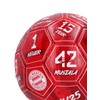 FC Bayern München Ball | Football | Signature 2024-25 |