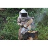 Cera De Abeja San Ignacio Orgánica 100% Pura, 500gr (6