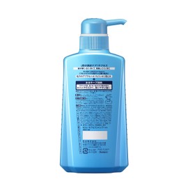 Success No-Rinse Shampoo Quick-Style Formula Pump Bottle 15.7 fl oz (400 ml)