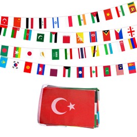 Rotenl 48 Asian Countries Small String Flag, 60 Feet 48 Pcs Asia Nations Pennant Banner Bunting Flags, International Festival, Commemoration, Asian Heritage Month Decor