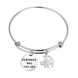TGBJE Remember Who You Are Bracelet Inspired Bangle Lion Gift for Friend (Lion bangle)