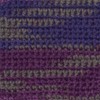 Patons Kroy Socks Yarn, 2-Pack, Purple Haze