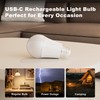 KARTOOSH Rechargeable Battery Operated Light Bulbs, E26 Detachable LED Bulb