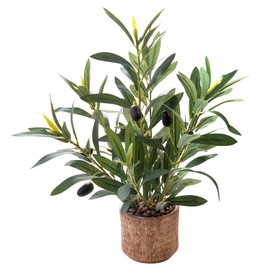 Ewtogift Indoor Fake Olive Plant 12 inch Faux Silk Plant in Black Rustic Planter Medium Size Perfect Artificial Olive Plant with Realistic Trunk and Lifelike Fruits for Home and Office Decor