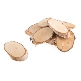 FloristryWarehouse Oval Birch Wood Slices 5-7cm Diameter Box of Approx 25