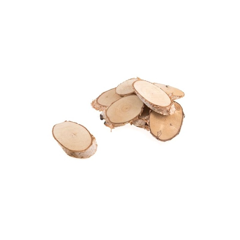 FloristryWarehouse Oval Birch Wood Slices 5-7cm Diameter Box of Approx