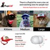 PupLid Trucker Hats for Cats (Large Cats) Premium Stylish Sun