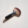 TOGO Mega Fan Brush / TOGO 메가팬브러쉬