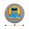 Sesame Street Colorful Cookie Monster Kitchen Refrigerator Locker Button Magnet