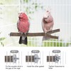 Niteangel Natural Wooden Perches for Bird Cages - Ideal for