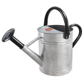 Megawodar 1 Gallon Metal Watering Can with Removable Spout, Nice Galvanized Steel Water Can for Indoor and Outdoor Plants (House Plants)