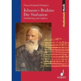 Johannes Brahms. Die Sinfonien: Einführung und Analyse (Studienbuch Musik)