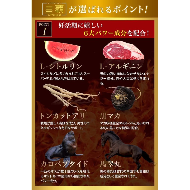 妊活 男性 用 メンズサプリ 皇覇サプリメント（コウハサプリメント） マカ シトルリン アルギニン 厳選26成分配合 夫婦