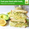 Todd’s Seeds - Alfalfa Sprouting Seeds - Easy to Grow