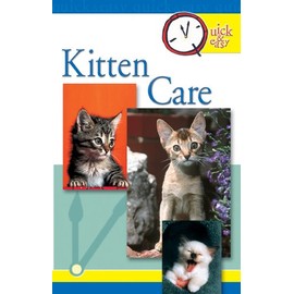  Quick & Easy Kitten Care
