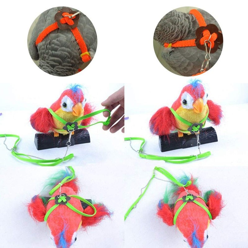 Bonaweite 2 Pack Adjustable Harness Leash, Pet Birds Nylon Anti-bite