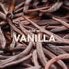 Tree Hut Vanilla Shea Sugar Scrub