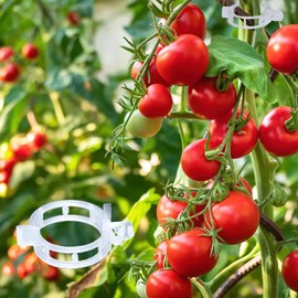 100 PCS Plant Support Clips, Plastic Plant Clips for Climbing Plants, Reusable Garden Support Clips, Plant Wall Fixing Clips for Tomato, Vine, Orchid and Indoor Plants (White)